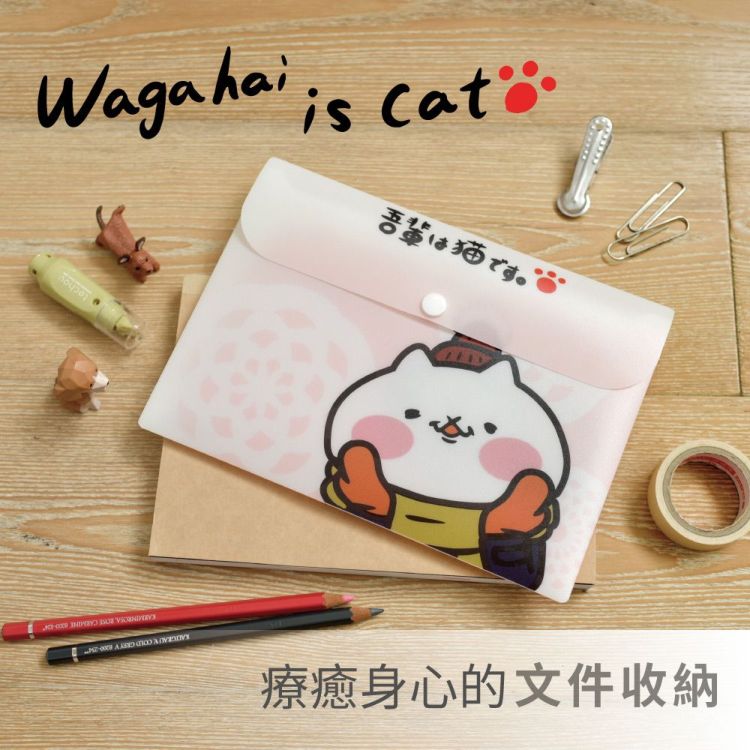 【反應過激的貓】資料夾3入組-可放置名片