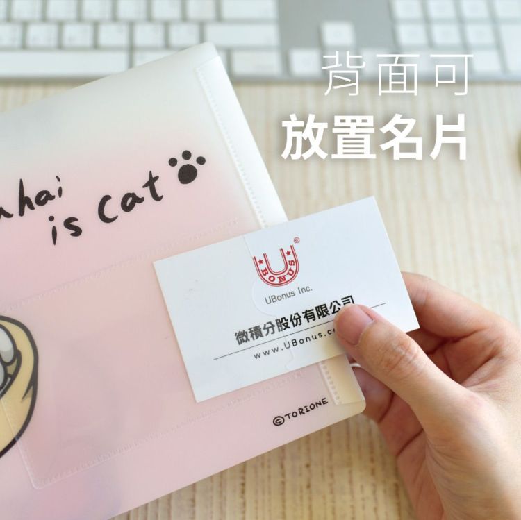 【反應過激的貓】資料夾3入組-可放置名片